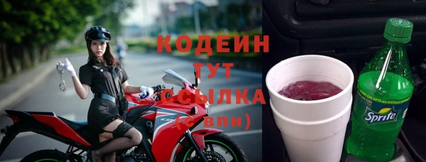 спиды Каменногорск