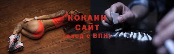 прущая мука Каменка