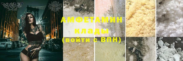 спиды Каменногорск