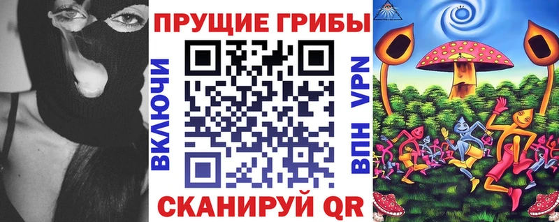 Купить  Кувандык  Галлюциногенные грибы Cubensis 