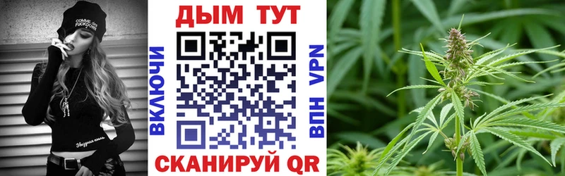 Купить где  Кувандык  Шишки марихуана тримм 